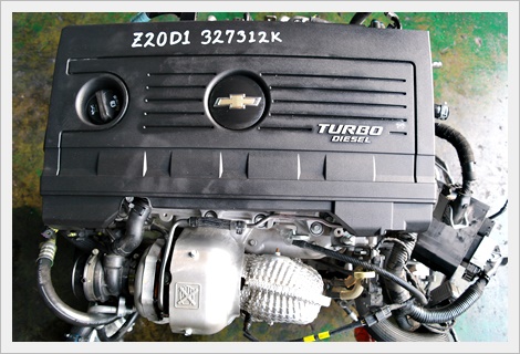Z20D1.JPG